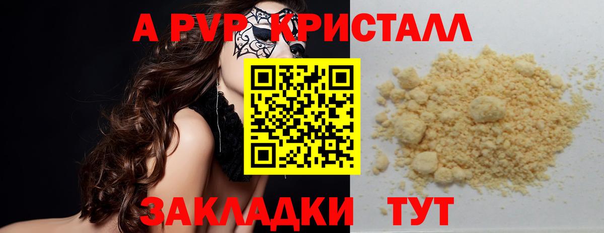 Альфа ПВП СК Чита