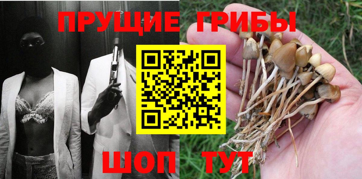 закладки  Галлюциногенные грибы GOLDEN TEACHER  Вход с VPN  Чита  Псилоцибиновые грибы Psilocybe 